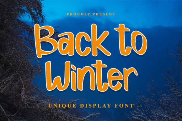Back to Winter: A Modern Display Font for Web Design