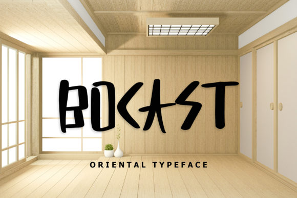 Bocast: A Real-World Designer Review
