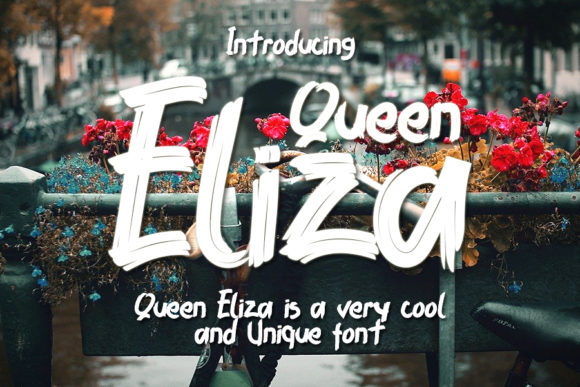 Qeen Eliza: A Trendy Display Font for Brand Identity