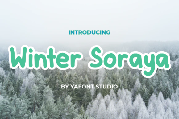 Winter Soraya: A Clean Display Font for Web Design